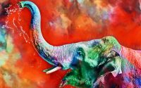 elephant-art-kleur-liggend