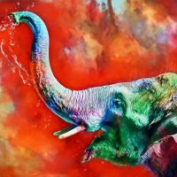 elephant-art-kleur-vierkant