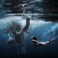 Elephant under water vierkant