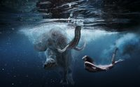 Elephant under water liggend